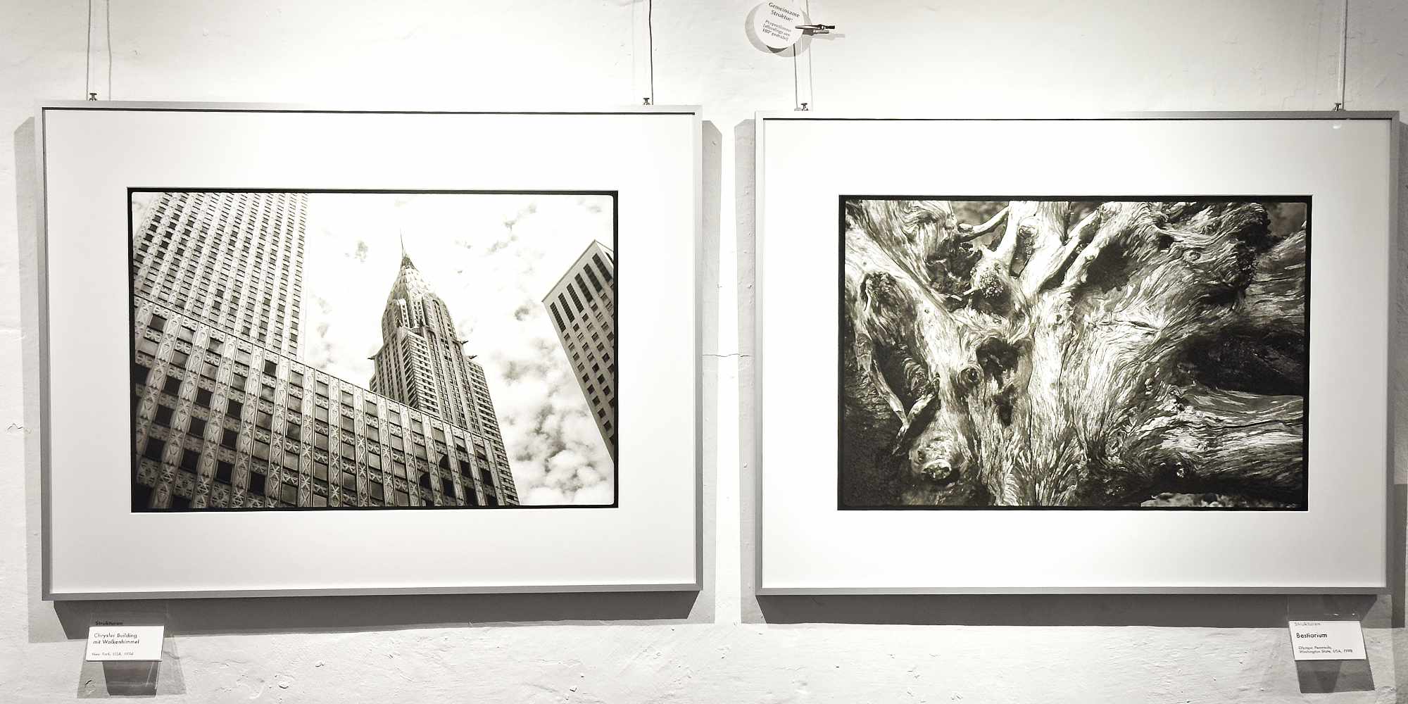 Fotografie Reinhard Mohr: Chrysler-Building als Ensemble mit Wolken und gemusterter Wurzelstock