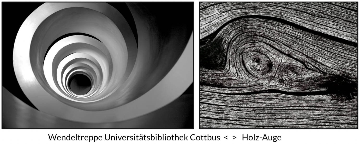 Universit&auml;tsbibliothek Cottbus und Holz-Auge &ndash; Fotografien von Reinhard Mohr, M&uuml;nchen, f&uuml;r bella martha im Januar 2026
